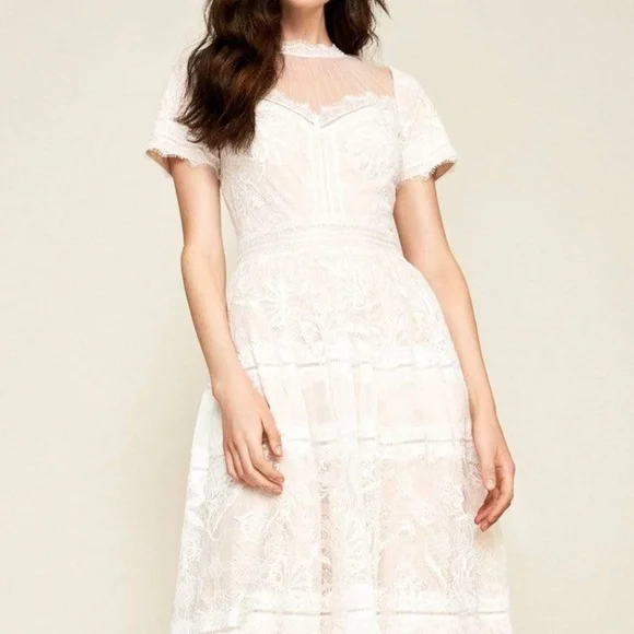 TADASHI SHOJI Camilla Tea Length Lace Dress AWI17173MD Ivory Petal NWT TADASHI SHOJI Camilla Tea Length Lace Dress AWI17173MD Ivory Petal NWT